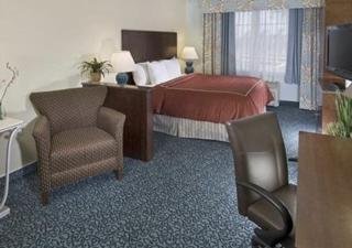 Hotel Comfort Suites University Park Sarasota