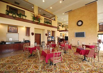 Hotel Comfort Suites-webster