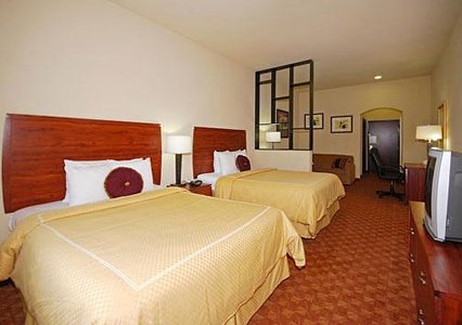 Hotel Comfort Suites-webster