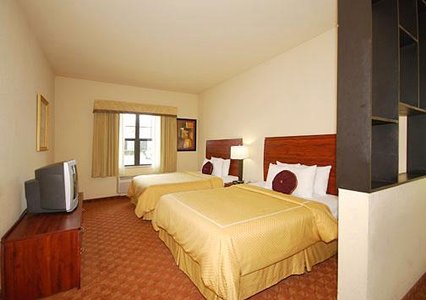 Hotel Comfort Suites-webster