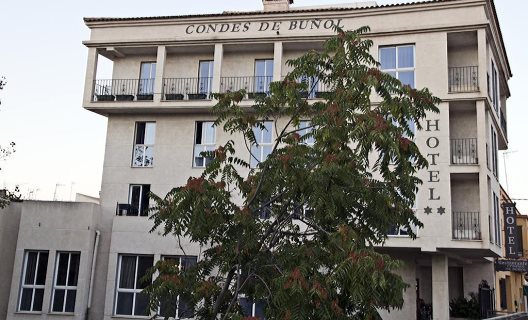 Hotel Condes De Buñol