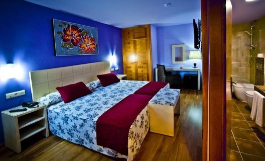 Hotel Condes De Castilla