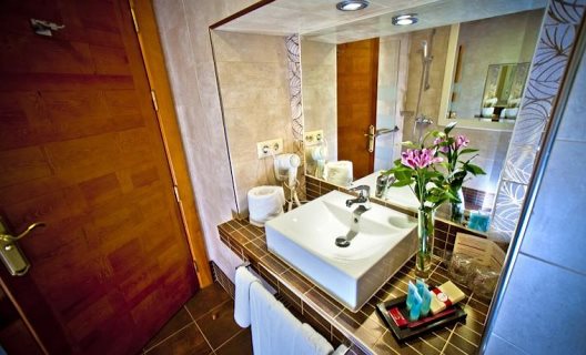 Hotel Condes De Castilla