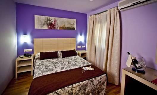 Hotel Condes De Castilla