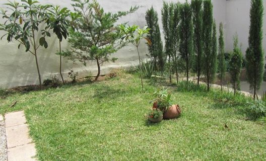 Hotel Coral