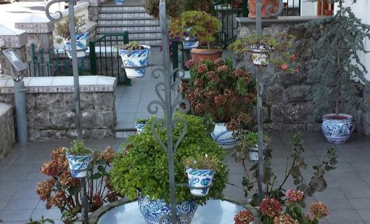 Hotel Cortijo