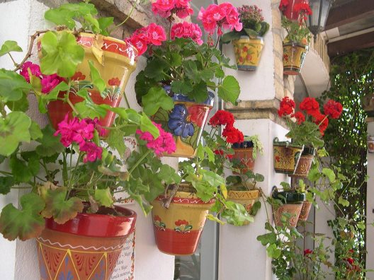Hotel Cortijo Los Gallos