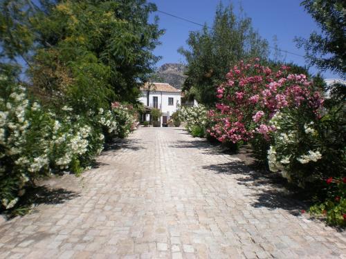Hotel Cortijo Salinas