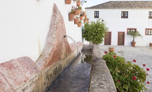 Hotel Cortijo San Antonio