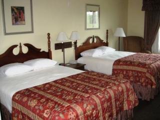 Hotel Country Inn & Suites Dfw South Airport