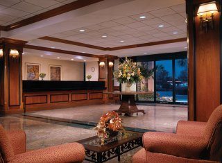 Hotel Courtyard By Marriott Palm Parkway