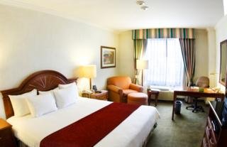 Hotel Courtyard By Marriott San Luis Potosi