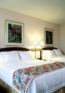 Hotel Courtyard New Orleans Metairie