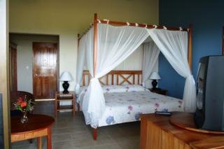 Hotel Cristal Ballena