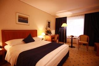 Hotel Crowne Plaza Bucarest