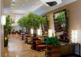 Hotel Crowne Plaza River Oaks