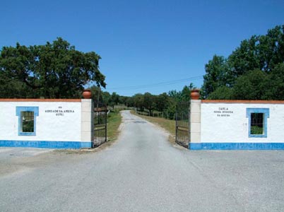 Hotel Da Ameira