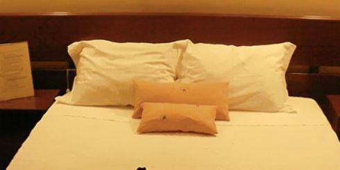 Hotel Davilina