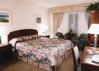 Hotel Days Circle