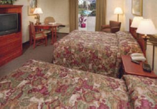 Hotel Days Inn And Suites St. Louis-westport