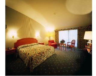 Hotel De La Paix Lugano