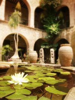 Hotel De La Soledad