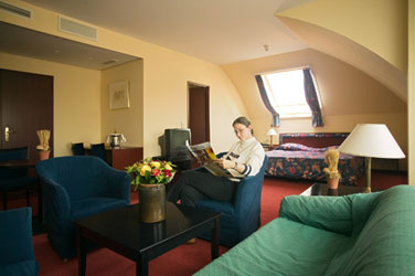 Hotel De Medici