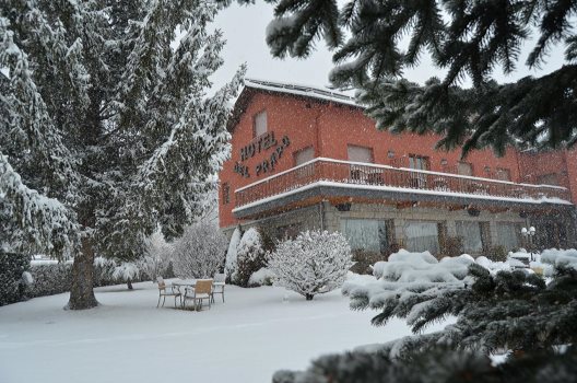 Hotel Del Prado