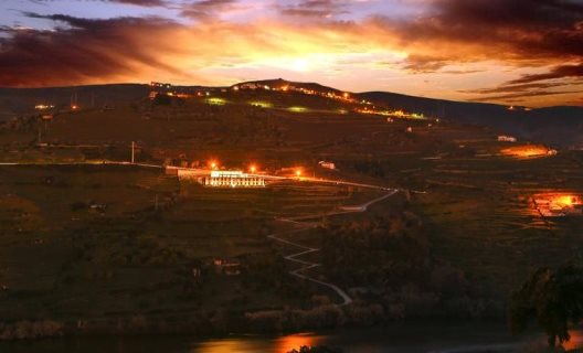 Hotel Delfim Douro