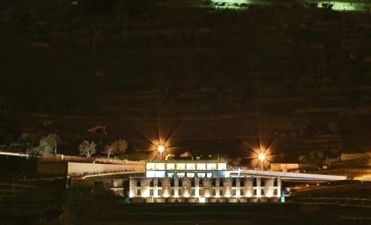 Hotel Delfim Douro