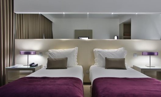 Hotel Delfim Douro