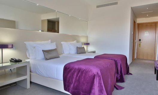 Hotel Delfim Douro