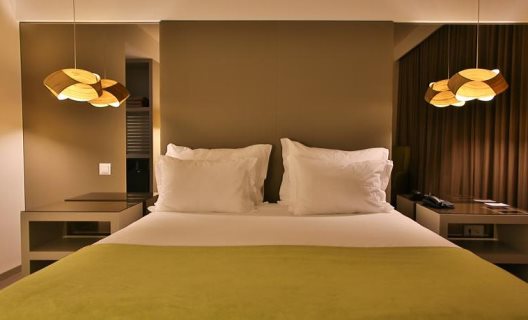 Hotel Delfim Douro