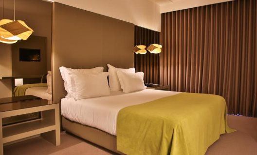 Hotel Delfim Douro