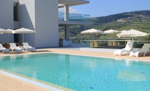 Hotel Delfim Douro