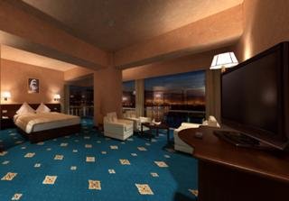 Hotel Delta Tulcea