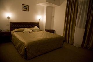 Hotel Denisa Otopeni