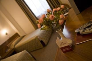 Hotel Denisa Otopeni