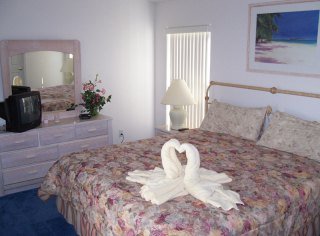 Hotel Disney Area Standard Homes