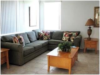 Hotel Disney Area Standard Homes