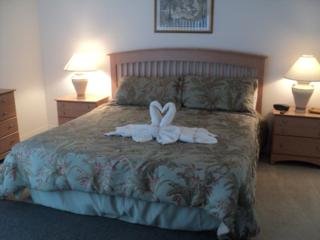 Hotel Disney Area Superior Deluxe Homes