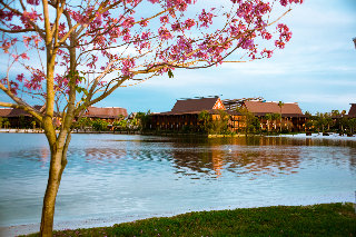 Hotel Disney's Polynesian Resort