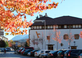 Hotel Dolarea