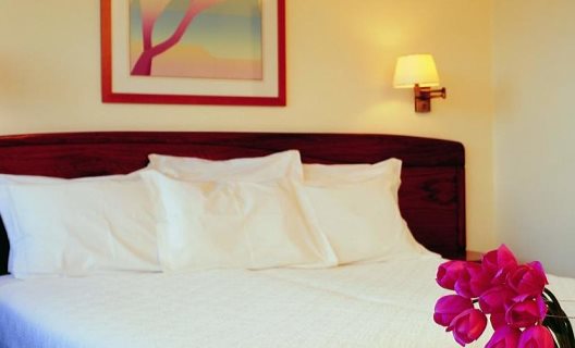 Hotel Dom Carlos Park