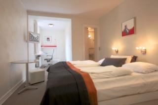 Hotel Domir