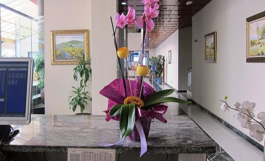 Hotel Don Angel