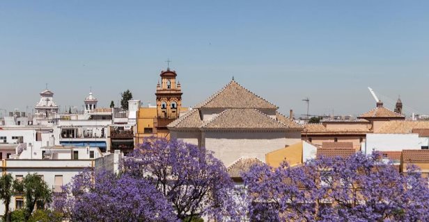Hotel Don Paco