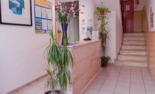 Hotel Don Quijote