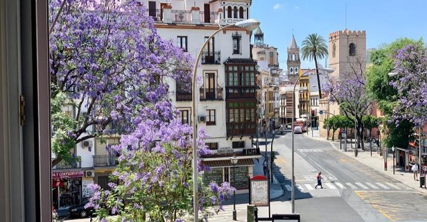Hotel Doña Blanca