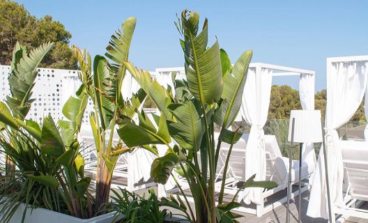 Hotel Dona Solo Mujeres